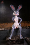 Bunny Sex Doll 168CM  A Cup_Rabby