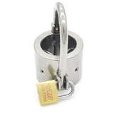 Stainless Steel Chastity Cage and Cock Ring, 3 Types - Own Pleasures