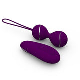 Wireless Remote Vibrating Egg Kit - Own Pleasures