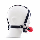 Head Harness with Mouth Gag - Own Pleasures