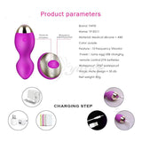 Remote Control Wireless Vibrating Balls - Own Pleasures