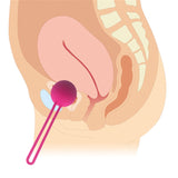 Tight Exercise Vaginal Vibrator Balls - Own Pleasures