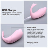 10 Speeds Remote Control Vibrating Vaginal Balls - Own Pleasures