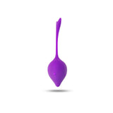Smart Ben Wa Ball Vagina Tighten Exercise and Pleasure - Own Pleasures