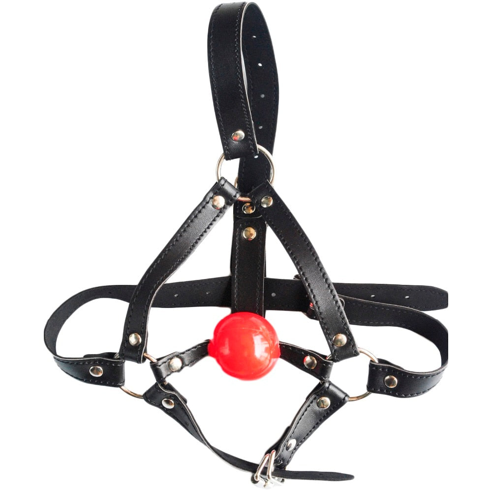 Head Harness with Mouth Gag - Own Pleasures