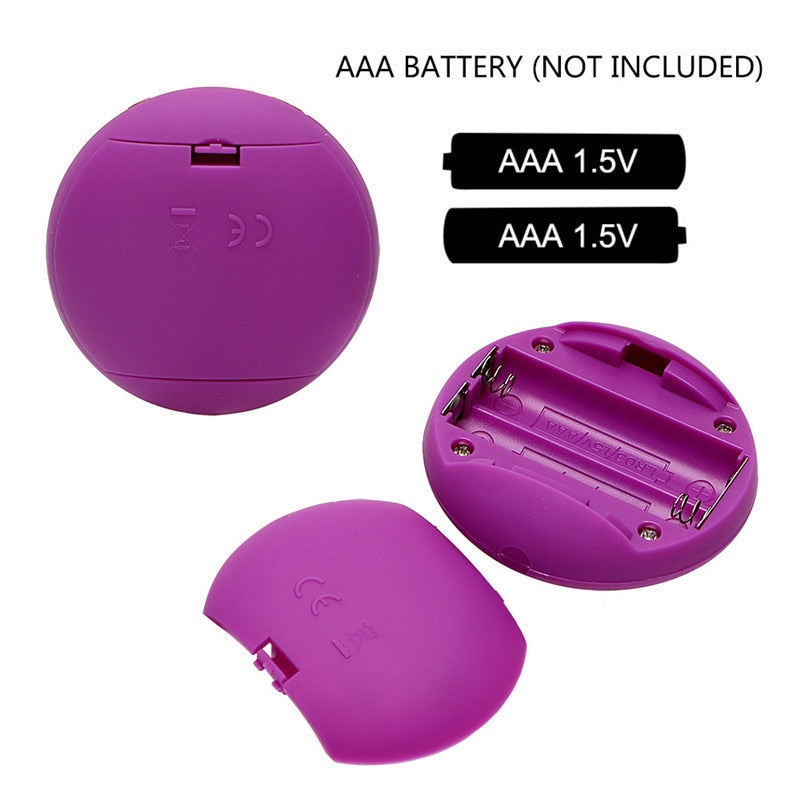 Vibrating Egg Remote Control